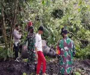 Seekor Gajah Betina Ditemukan Mati di Bener Meriah