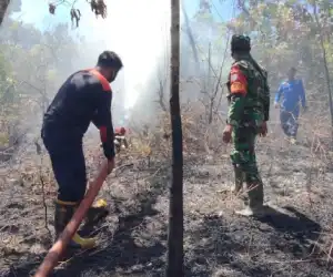 Petugas Damkar Bersama TNI Padamkan Kebakaran Lahan dan Hutan di Aceh Jaya
