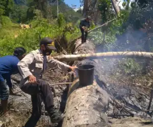 Lahan Warga Terbakar, Personil Polsek Panga Padamkan Api
