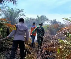 Kebakaran di Kayee Lhoen Aceh Jaya Masih Berpotensi Menyala