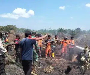Lahan Terbakar, Proses Pemadaman Terkendala Akses Jalan