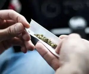 Lagi Hisap Ganja, Seorang Pria di Simeulue Ditangkap Polisi