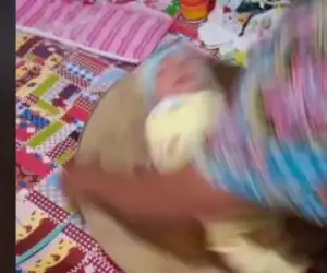 Duh! Tradisi Bayi Baru Lahir Diputar-diputar dan Ditepuk