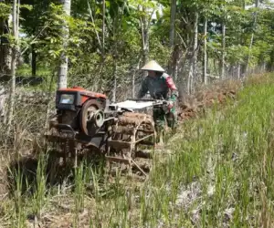 Percepat Masa Tanam, Babinsa di Abdya Bantu Petani Bajak Sawah