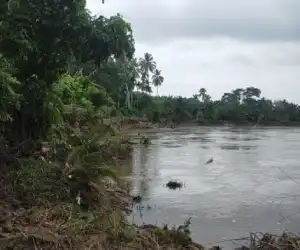 Warga Pasie Geulima Keluhkan Abrasi Krueng Teunom Yang Semakin Ganas