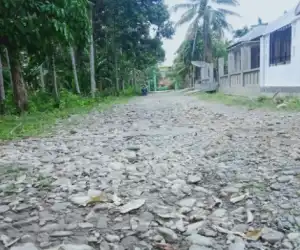 Kondisi Jalan Lintas Zona Pendidikan dan Pertanian di Manggeng Abdya Memprihatinkan