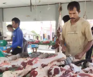 Pasokan Hewan Potong Meningkat, Harga Jual Daging di Aceh Jaya Stabil