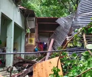 Rumah Warga Aceh Jaya Rusak Usai Ditimpa Pohon Material Longsor