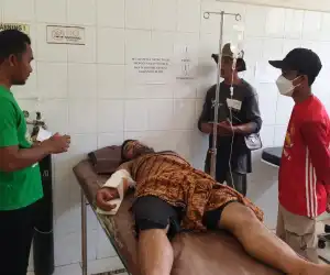 Diamuk Gajah Liar, Asisten CRU Dilarikan ke Rumah Sakit