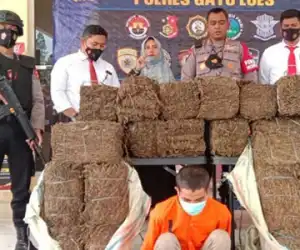 12 Bal Ganja Kering Seberat 110-Kg Ditemukan di Gudang