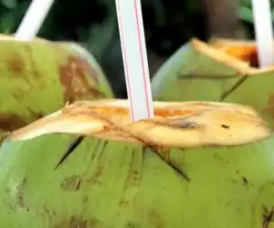 Ramuan Kelapa Muda dan Jeruk Bisa Obati COVID-19, Benarkah?