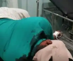 Dituduh Selingkuh, Bu Guru Tebas Leher Suami