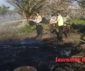 Kemarau Tiba, Kebun Sawit Warga Terbakar di Nagan Raya