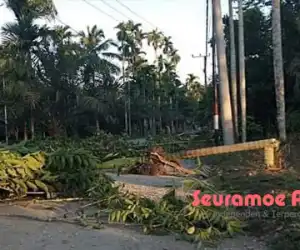 Tak Kunjung Diaspal, Warga Empat Desa di Nagan Raya Blokir Jalan