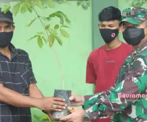 Dandim Bagikan Bibit Jengkol kepada 80 KK di Aceh Jaya