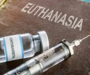 Buntut Kebijakan Pemko, Nelayan Minta Disuntik Mati