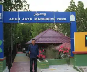 Ekowisata Hutan Mangrove Aceh Jaya Dongkrak PAG