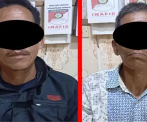 Bunuh Tiga Harimau, Dua warga Sumut Jadi Tersangka