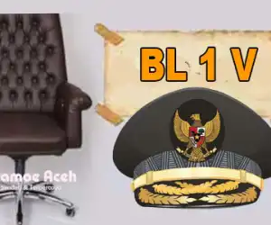 Profil Singkat Calon Kuat Pj Bupati Nagan Raya