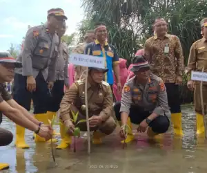 3.209 Batang Pohon Mangrove Ditanam di Aceh Jaya, Pj Bupati : Ajang Promosi Aceh Jaya