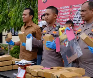 Polisi Gagalkan Peredaran 42 kg Ganja dan 1 Kg Sabu