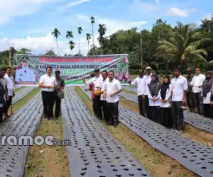 Nagan Raya Mulai Melakukan Pengembangan Bawang Merah