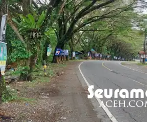 APK Caleg Dipaku di Pohon, Aparat Berwenang Hoka?