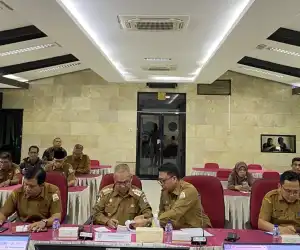Mendagri Apresiasi Pj Bupati Aceh Singkil, Ini Prestasinya