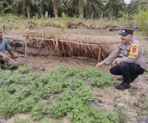 Dukung Swasembada Pangan, Polisi Bantu Masyarakat Tingkatkan Produktivitas