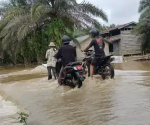 Empat Kecamatan di Aceh Singkil Terendam Banjir, Akses Warga Lumpuh