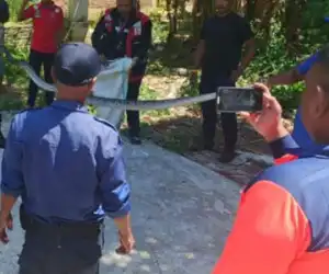 Ngeri! Ular Piton Sepanjang Tiga Meter Muncul di Pemukiman Warga