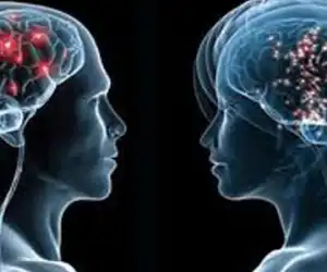 Inilah Bagian Otak Manusia yang Membuat Dusta