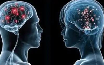 Inilah Bagian Otak Manusia yang Membuat Dusta