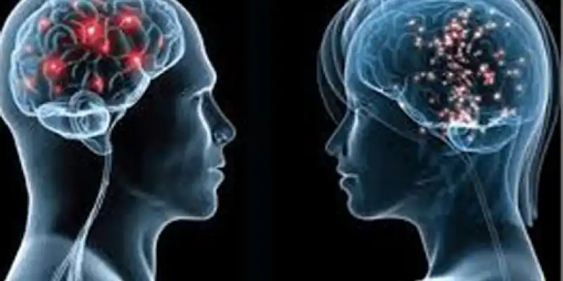 Inilah Bagian Otak Manusia yang Membuat Dusta