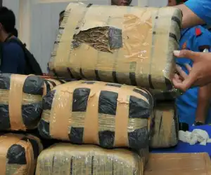 Bawa Ganja Dengan Mobil Pratoli, Dua Oknum Polisi di Tangkap