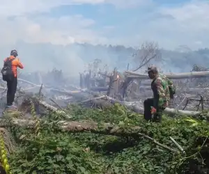 BREAKING NEWS: 10 Haktar Lahan Gambut Terbakar di Aceh Jaya