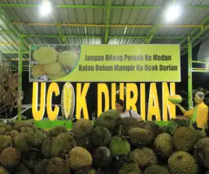 Yok Nikmati Durian Khas Melayu Deli di Duren Ucok Medan