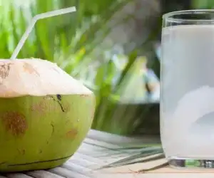 SEURAMOETV - Menikmati Kesegaran Air Kelapa Muda di Pulau Keluang