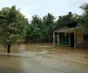 Dua Desa di Kecamatan Tripa Makmur Nagan Raya Dilanda Banjir