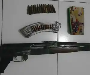 Dua Pelaku Ilegal Loging dan Satu Unit Mobil Berisi Kayu Diamankan Polisi