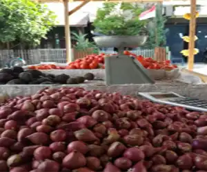 Jelang Hari Raya Idul Adha Harga Bahan Pokok di Abdya Cendrung Stabil
