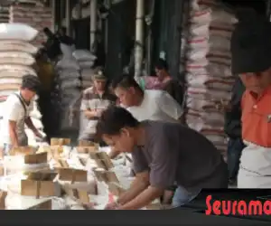 Harga Beras Stabil Daya Beli Masyarakat Menurun