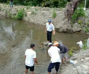 Nagan Raya Mulai Budidaya Ikan Kerling