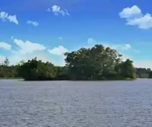 Menakjubkan! Di Danau Bungara, Ada Pulau Berpindah-Pindah