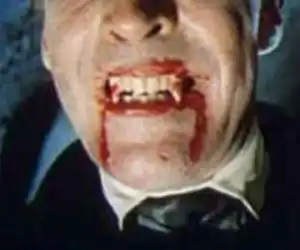 Gila..! Seorang Pria Tega Makan Kucing Hidup-hidup