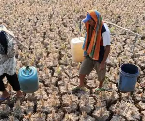 Kelangkaan Air Bersih di Tegal, Paksa Warga Lakukan Hal Ini