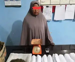 Bersama 10 Bungkus Ganja, Seorang Emak-Emak Diamankan Polisi