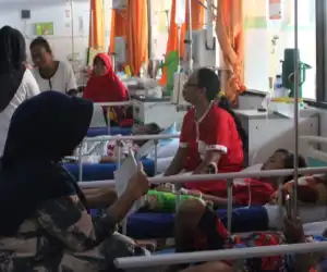 Jumlah Penderita DBD Meningkat di Abdya
