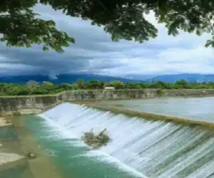 Irigasi Ditutup, Ribuan Hektare Sawah di Nagan Terancam Gagal Tanam