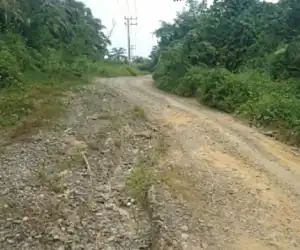 Jalan Penghubung Simpang Jaya-Alue Supeung Sudah 10 Tahun Rusak